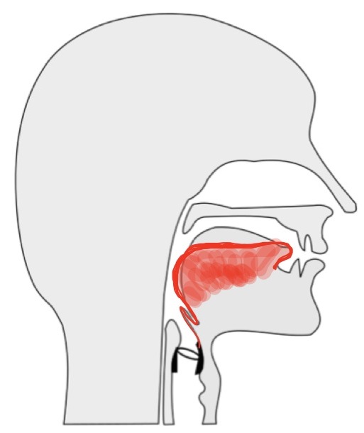 Tongue position for the "a" as in "father" vowel.