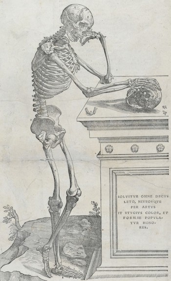 Skeleton from Andreas Vesalius' De humani corporis fabrica, published in 1543. The words on the tomb are from Silius Italicus' epic poem Punica, and reads: "Death robbed him of all his beauty: a Stygian hue spread over his snow-white skin and destroyed his comeliness." (Translated by J.D. Duff.) Image courtesy of the Wellcome Library, London.